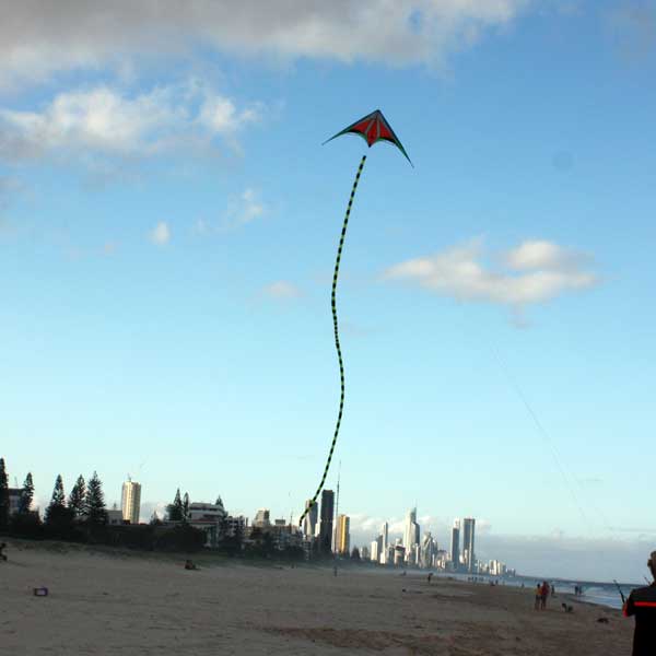 another shot of a kite towing a 10 meter tubular kite tail