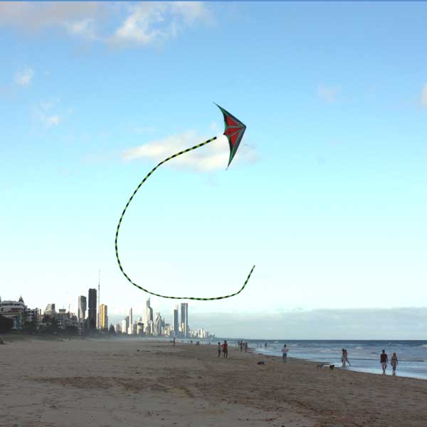 pretty show of kite with tubular tail annd surfers paradise in the background