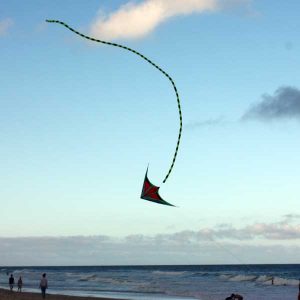 10m tube kite tail in a graceful turn
