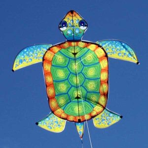 Sea Turtle kite