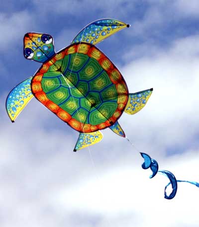 Spider delta Single String Kites for 4 Years and Up Kids