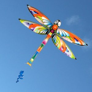 Dragonfly shaped single string childrens kite from Leading Edge Kites