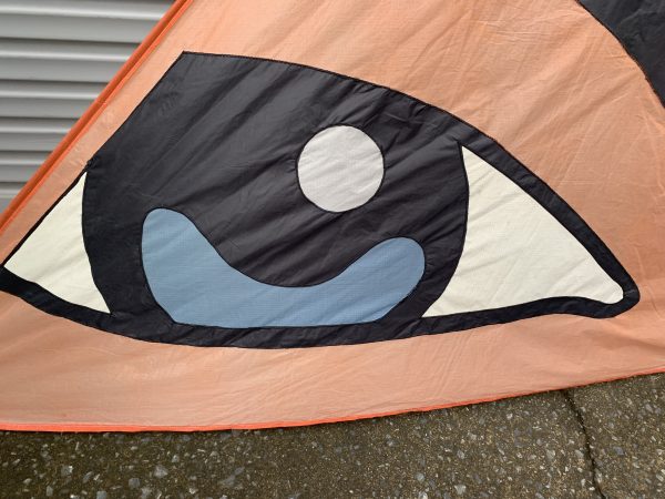 apliqued eye on a delta kite sail