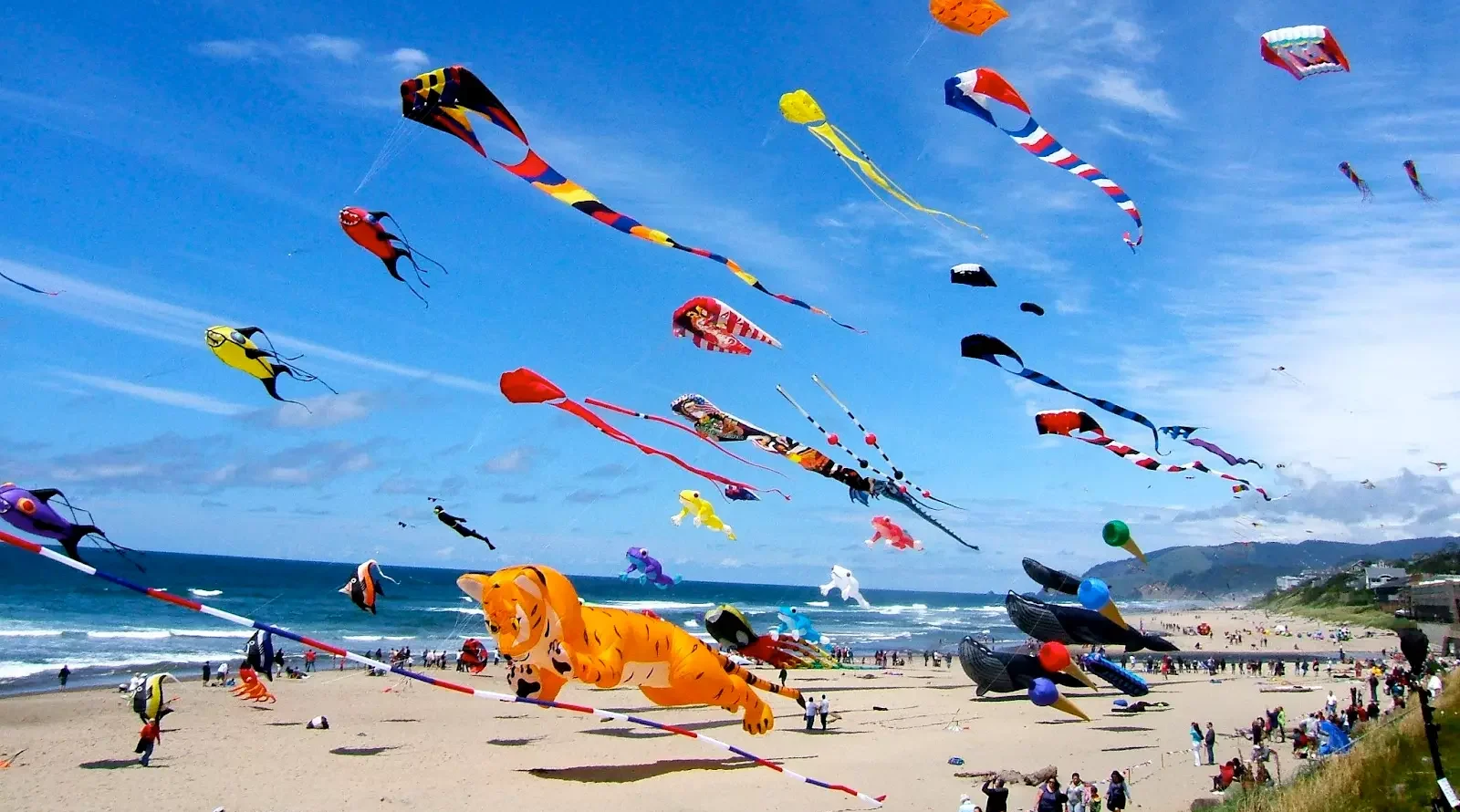 crowd watching big kites at kite festival