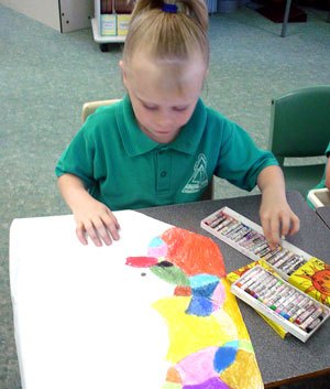 single string kites on wall in our Leading Edge Kites shop in Burleigh Heads