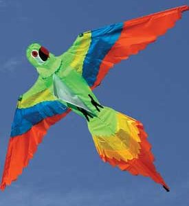 Bird Kite