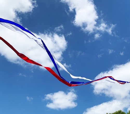 Red, White and Blue tail set flying