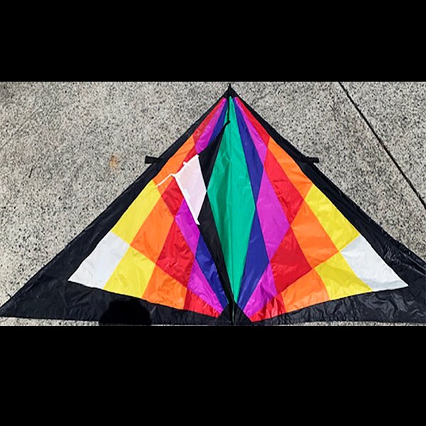 9 foot wide Tecno design delta kite