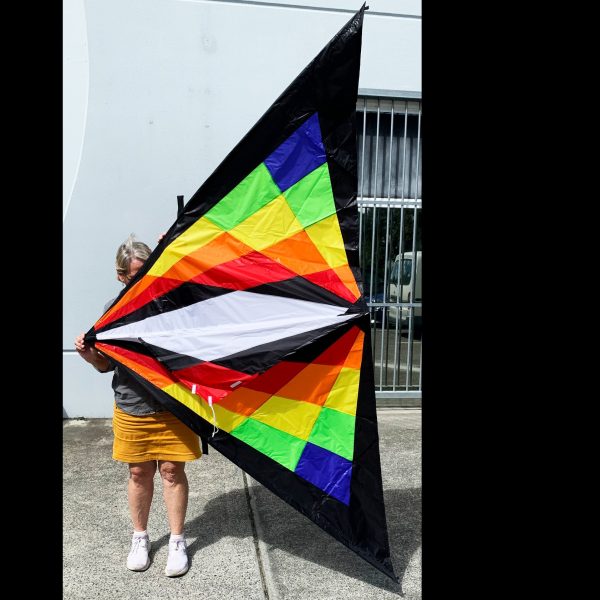 9 foot wide colourful delta kite