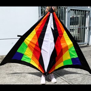 2.7meter delta kite, black outline with coloured panels inside