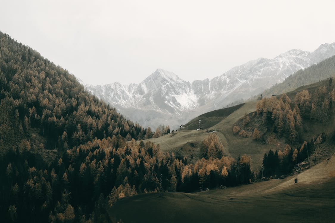 Nitro foil kite on the beach. A no frame foil stunt kite for teenagers and adults