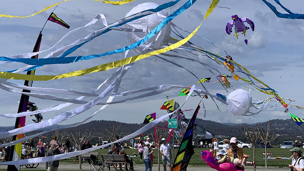 kites at a festival