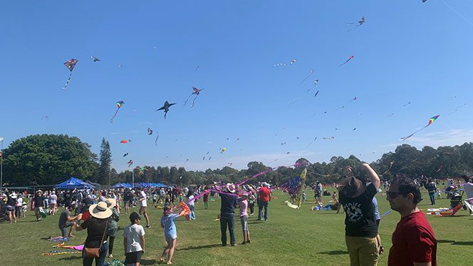 kids and families flying their own kites