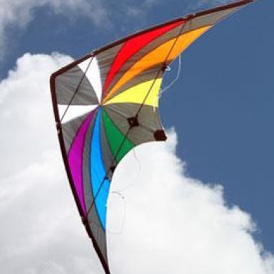Backdraft high performance dual control stunt kite in the sky