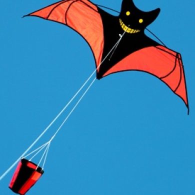 smily bat kite with drogue stabliser tail