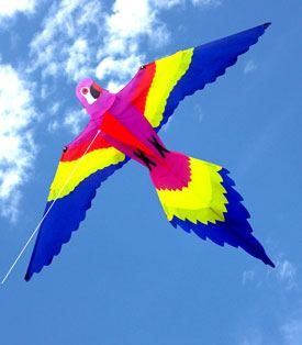 magnificent lorikeet bird design single string kite for children