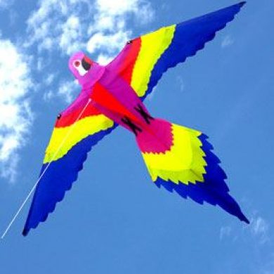 magnificent lorikeet bird design single string kite for children