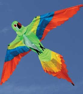 Lorikeet Bird Shaped Single String Kite for Children