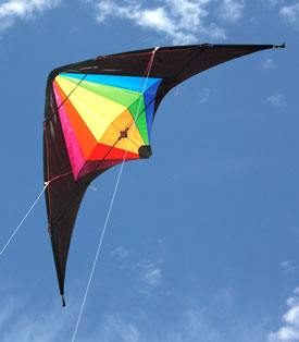 Black Widow dual control stunt kite in flight