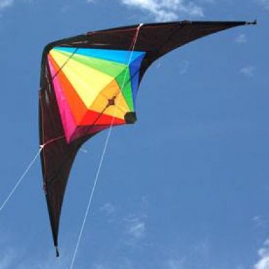 Black Widow dual control stunt kite in flight