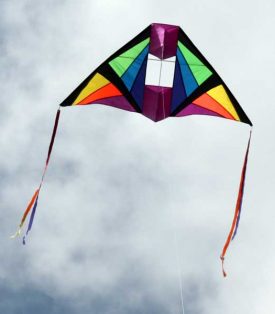 Cell Delta Single String kite with wingtip tails in flight