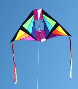 Cell delta single string kite with wingtip tails in flight