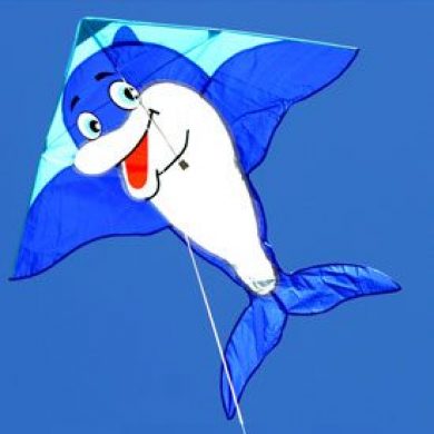 beautiful dolphin single string kite