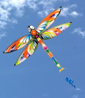 Dragonfly single string kite in the sky