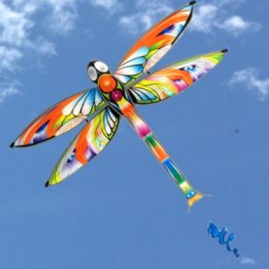 Dragonfly single string kite in the sky