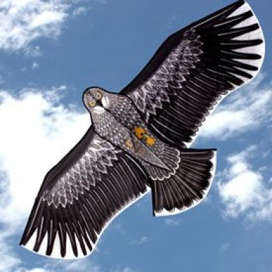 Eagle single line kite for kids