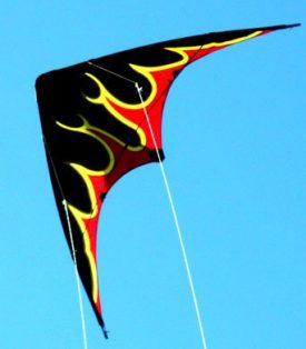 Flames dual control teenagers kite in flight
