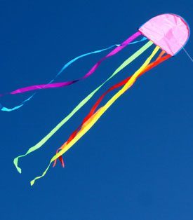jellyfish australian made childrens kite