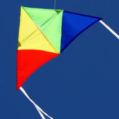 junior delta excellent australian made kites for kids