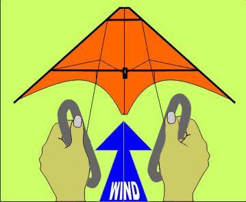 2 hands holding kite handles connected to a dual control kite