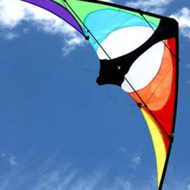 Maddog small size stunt kite for teenagers