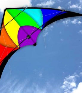 1.3m wingspan Monsoon swept wing Stunt Kite in the sky
