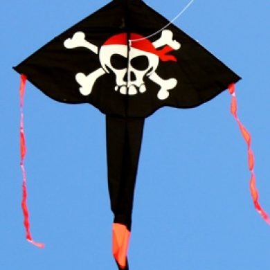 pirate kite long tailed delta kids kite
