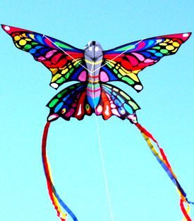 Single String Kite with Printed Rainbow Butterfly
