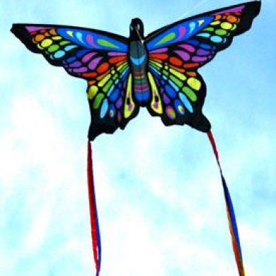 beautiful rainbow butterfly single string kite