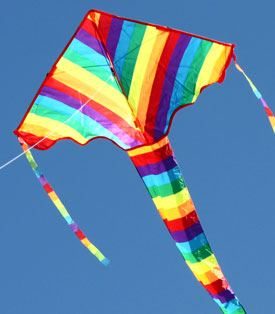 long tailed rainbow delta single string kites for kids