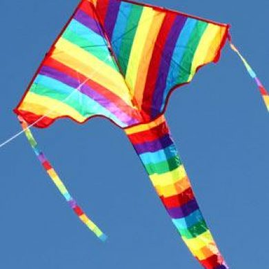 long tailed rainbow delta single string kites for kids