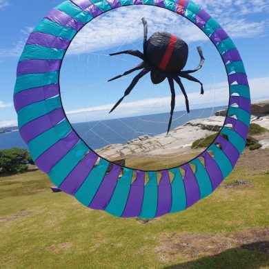 4 meter diameter spinning bol in aqua and purple with redback spider center