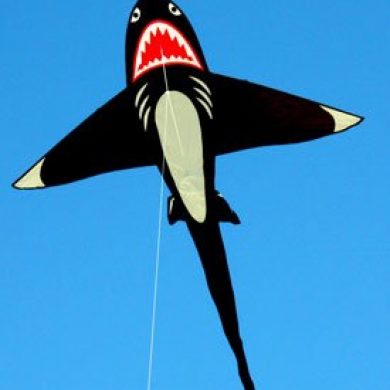 Large shark kite for children