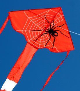 Spider delta childrens single string kite