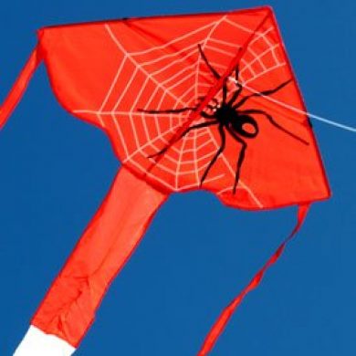 Spider delta childrens single string kite