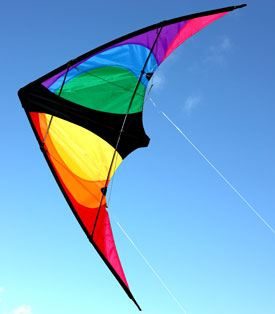 Stinger small dul control kite for teenagers