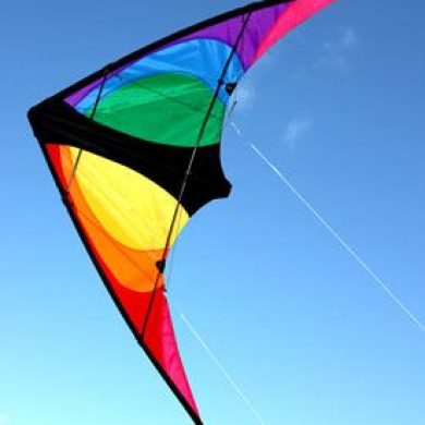 Stinger small dul control kite for teenagers