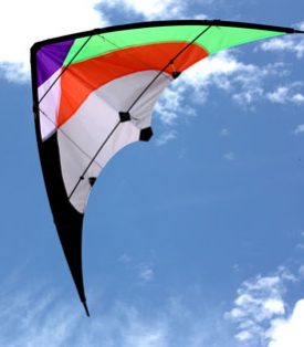 Twister Dual Control Kite
