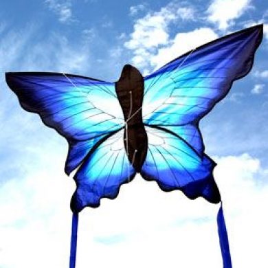 Butterfly kite for kids