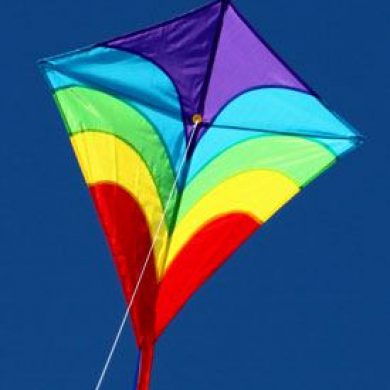 Waves sigle string kite for children in the sky